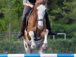 IMG_0697_web